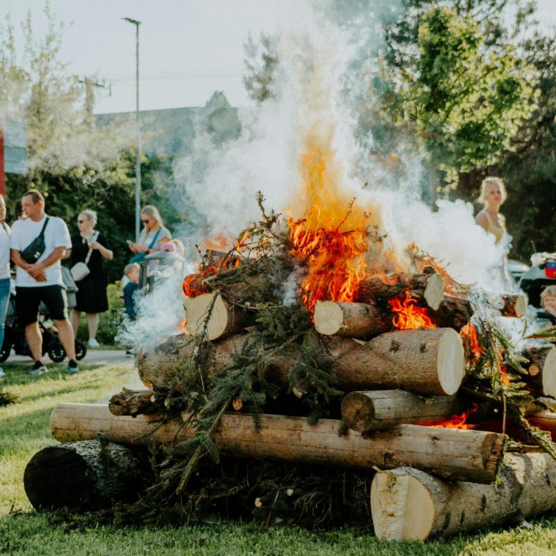 pexels-helen1-31898219