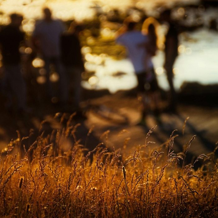 pexels-raybilcliff-1494646